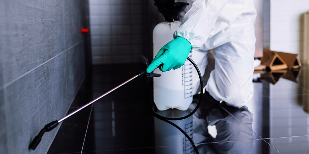 Pest Control Service